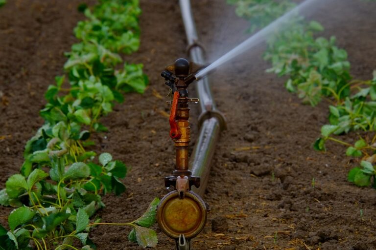 Who Owns Precision Irrigation and Pump Company