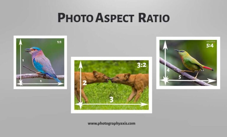 Photeeq Aspect Ratio